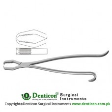 Lane Bone Holding Forcep Without Ratchet Stainless Steel, 33 cm - 13 "